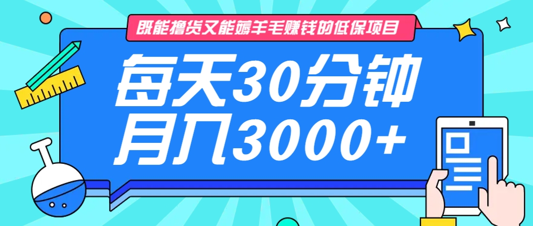 既能撸货又能赚钱的长期低保项目，每天30分钟，多号百分百稳定月入3000+！-数码之翼