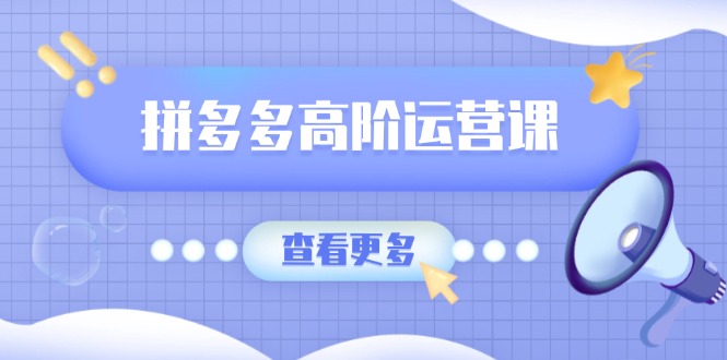 拼多多高阶运营课：极致群爆款玩法，轻付费无尽复制，打造单品爆款之路-数码之翼