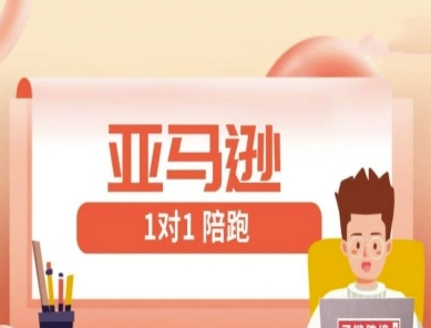 亚马逊1对1陪跑课(FBA/FBM精铺)跨境亚马逊教程-数码之翼