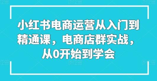 小红书电商运营从入门到精通课，电商店群实战，从0开始到学会-数码之翼
