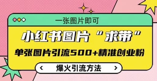 小红书图片‘求带’爆火引流法，单张图片引流500+精准创业粉【揭秘】-数码之翼