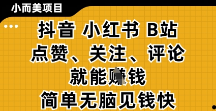 小而美的项目，抖音小红书B站视频点赞、关注、评论就能挣钱，简单无脑立见收益，妥妥的零撸项目【揭秘】-数码之翼