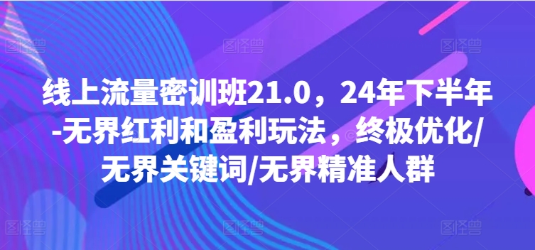 线上流量密训班21.0，24年下半年-无界红利和盈利玩法，终极优化/无界关键词/无界精准人群-数码之翼