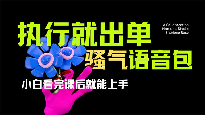 爆火全网的开车导航骚气语音包,只要执行就出单，小白看完课程就能实操…-数码之翼