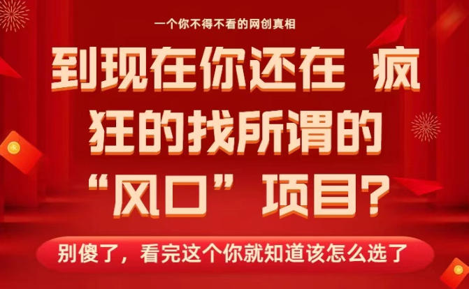 马上26年了，你还在找所谓的风口项目？别傻了，看完这个你全都懂了！【揭秘】-数码之翼