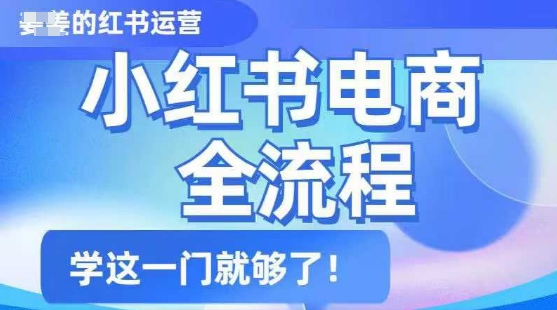 小红书电商全流程，精简易懂，从入门到精通，学这一门就够了-数码之翼