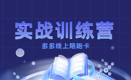 多多实战训练营，从0到1打造一个真正賺钱的店铺-数码之翼