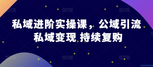 私域进阶实操课，公域引流 私域变现 持续复购-数码之翼