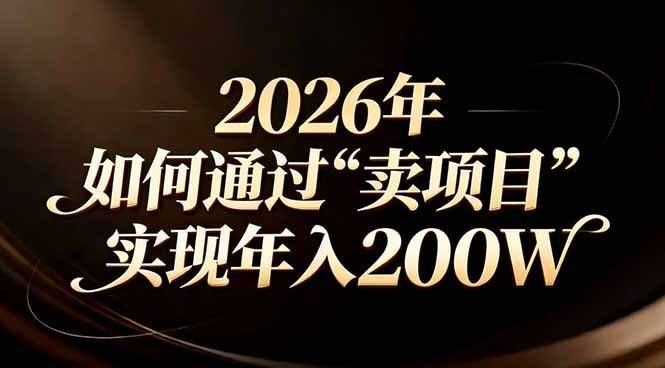 站在2026年的十字路口:一个普通人如何通过卖项目实现年入200万-数码之翼