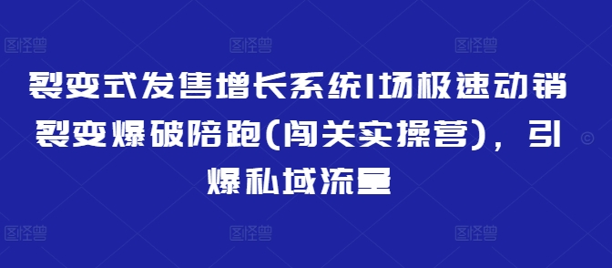 裂变式发售增长系统1场极速动销裂变爆破陪跑(闯关实操营)，引爆私域流量-数码之翼