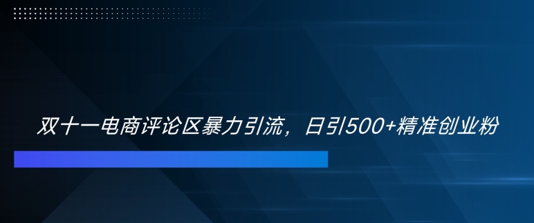 双十一电商评论区暴力引流，日引500+精准创业粉【揭秘】-数码之翼