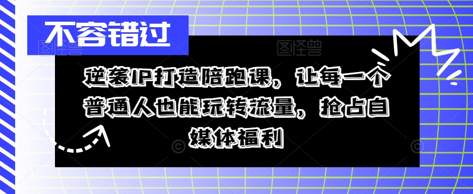 逆袭IP打造陪跑课，让每一个普通人也能玩转流量，抢占自媒体福利-数码之翼