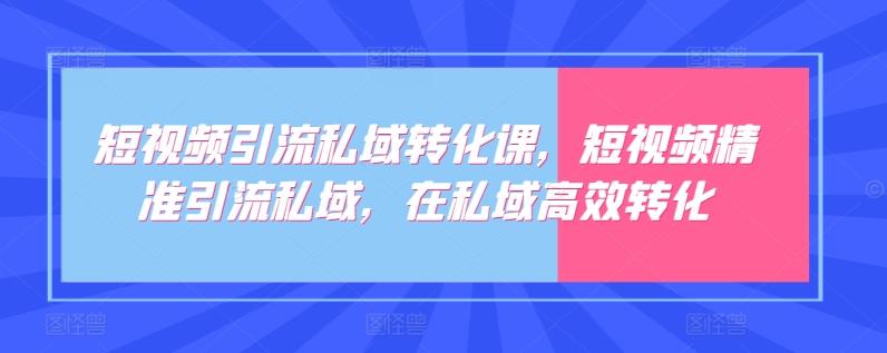 短视频引流私域转化课，短视频精准引流私域，在私域高效转化-数码之翼