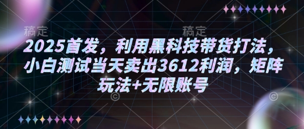 2025首发，利用黑科技带货打法，小白测试当天卖出3612利润，矩阵玩法+无限账号【揭秘】-数码之翼