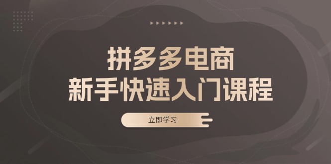 拼多多电商新手快速入门课程：涵盖基础、实战与选款，助力小白轻松上手-数码之翼