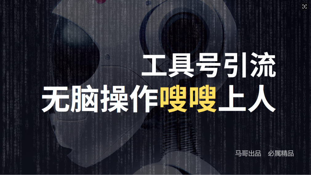 24年抖音最新工具号日引流300+创业粉，日入5000+-数码之翼