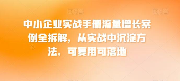 中小企业实战手册流量增长案例全拆解，从实战中沉淀方法，可复用可落地-数码之翼