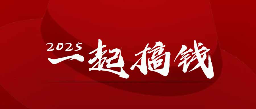 2025年，请“不择手段”去搞钱!-数码之翼