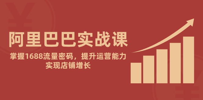 阿里巴巴实战课：掌握1688流量密码，提升运营能力，实现店铺增长-数码之翼