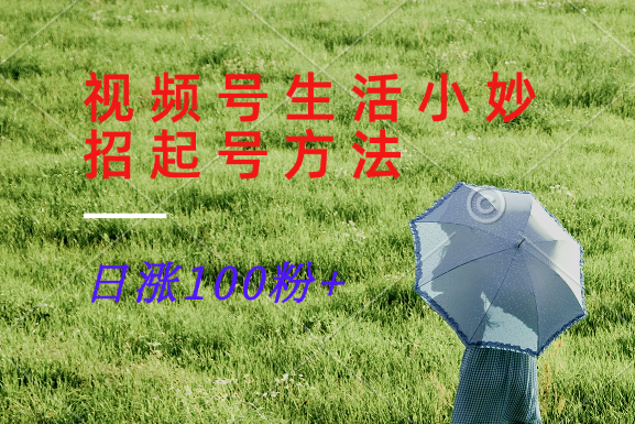 视频号生活小妙招分享赛道， 起号涨粉新方法，日涨100粉-数码之翼