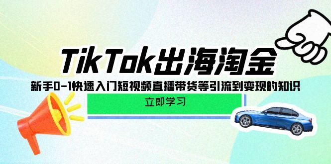 (10035期)TikTok-出海淘金,新手0-1快速入门短视频直播带货等引流到变现的知识-数码之翼