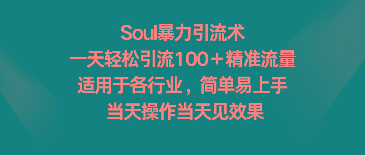 Soul暴力引流术，一天轻松引流100＋精准流量，适用于各行业，简单易上手！-数码之翼