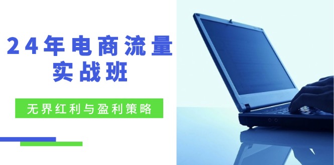 24年电商流量实战班：无界 红利与盈利策略，终极提升/关键词优化/精准...-数码之翼