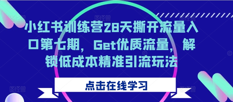 小红书训练营28天撕开流量入口第七期，Get优质流量，解锁低成本精准引流玩法-数码之翼