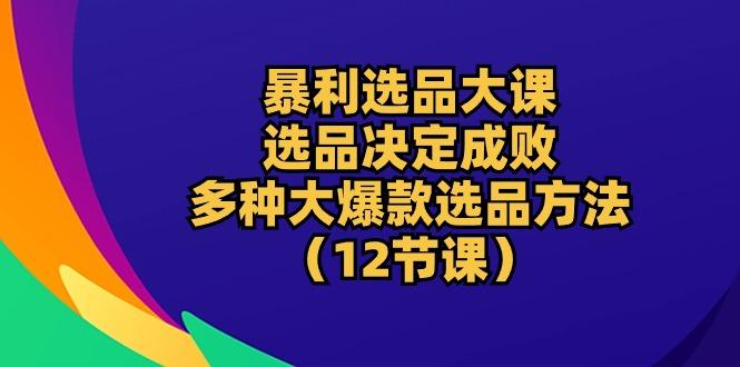暴利 选品大课：选品决定成败，教你多种大爆款选品方法(12节课-数码之翼