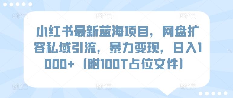 小红书最新蓝海项目,网盘扩容私域引流,暴力变现,日入1000+(附100T占位文件)【揭秘】-数码之翼