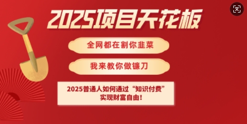 2025项目天花板普通人如何通过知识付费，实现财F自由【揭秘】-数码之翼